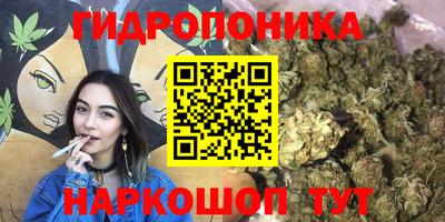 молекула духа Балашиха