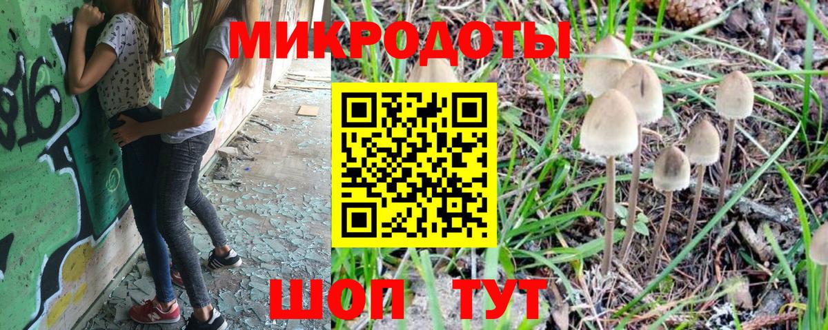 Гагарин  Галлюциногенные грибы Cubensis  Вход с VPN 
